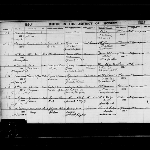Cover image for Register of births in Hobart