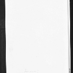 Cover image for NCD 2278  Maida White (also ILP 1004)