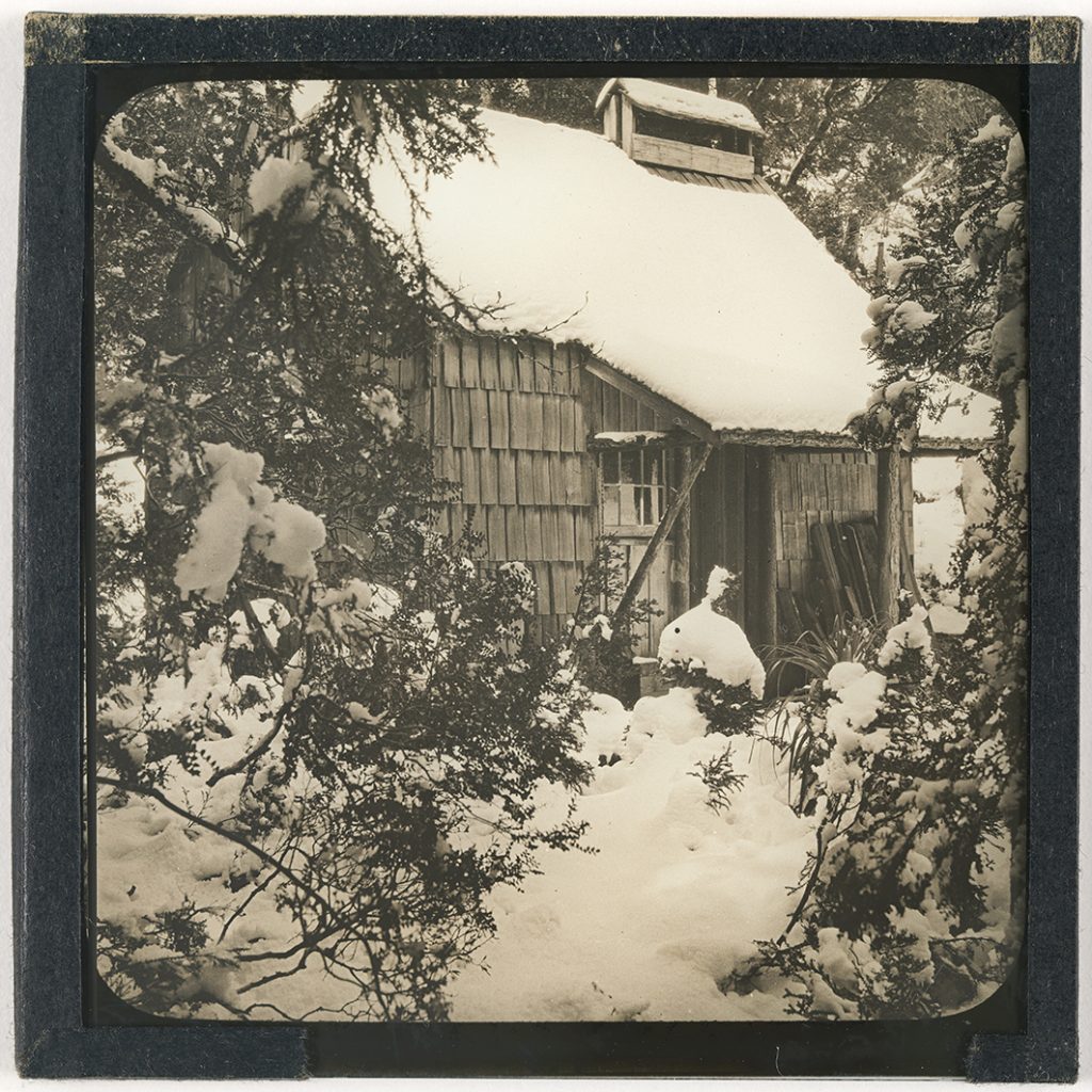 Photograph - Waldheim in snow / Frederick Smithies [Lantern Slide] [Box 1]