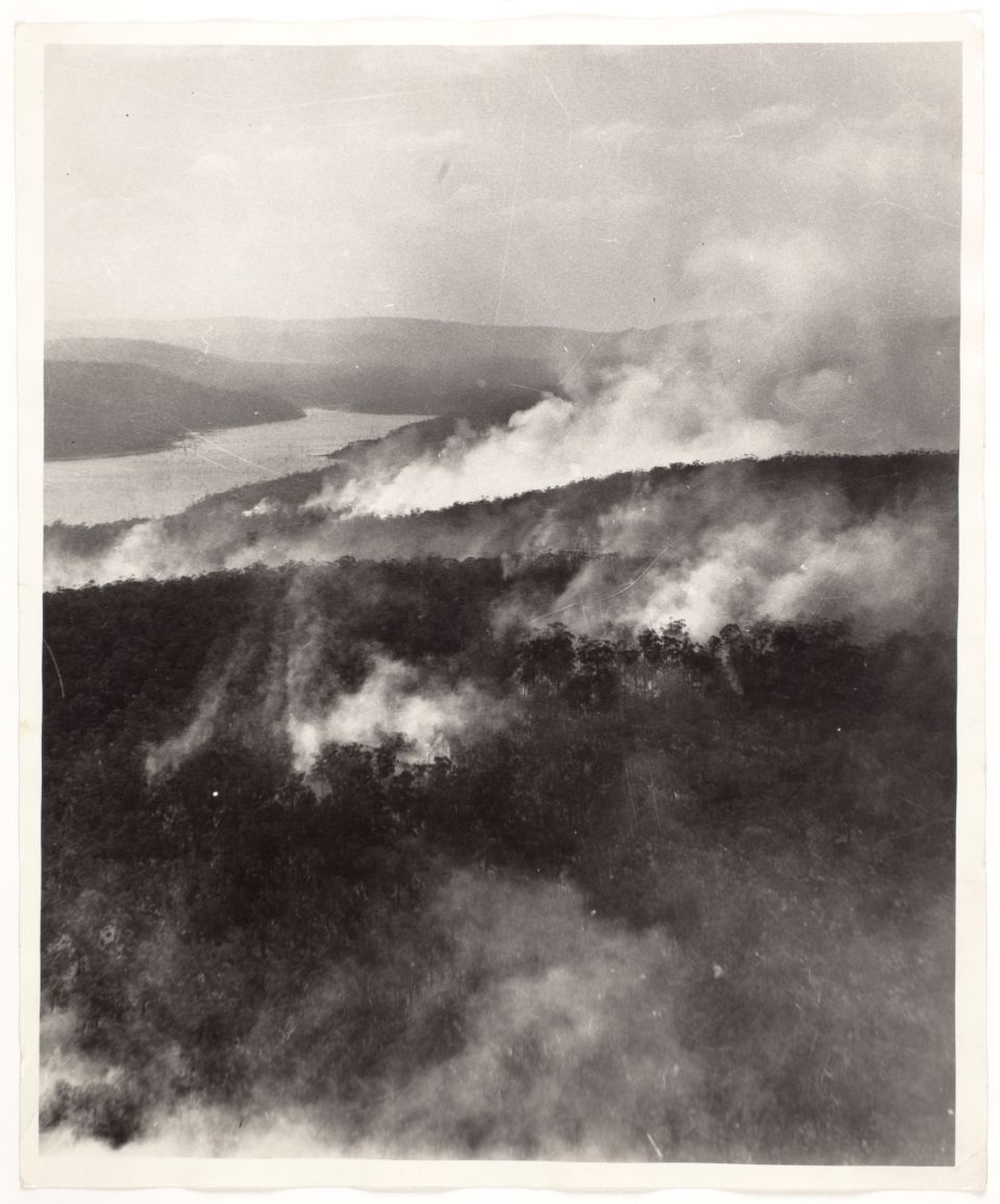A aerial view of hills covered in trees with smoke coming from trees below
