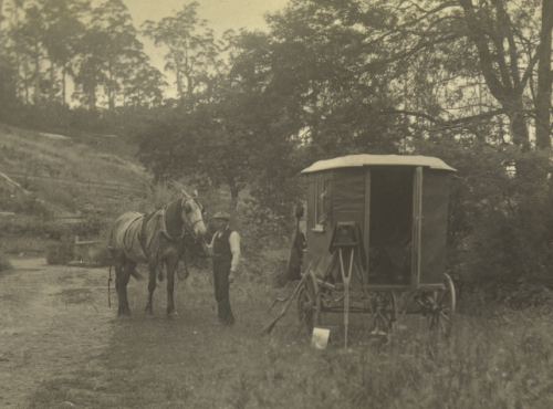 Photograph Caravan camp at Mole Creek by F Styant Browne