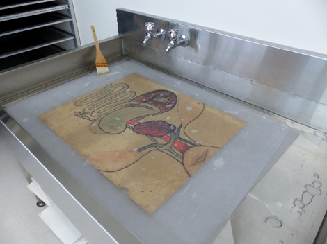 The drawing sitting in a liquid.