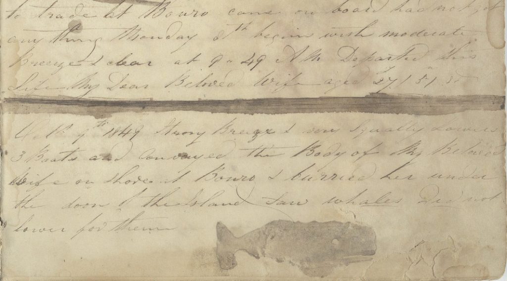 A page with cursive writing on it. It contains details of a captain recording the death of his first whale.