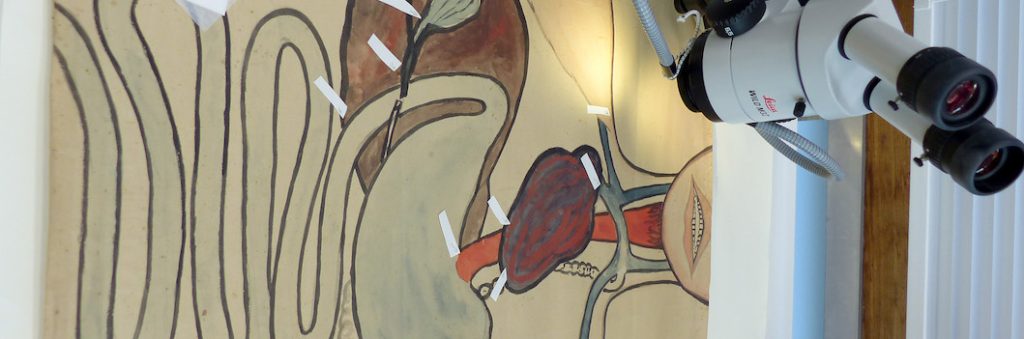 A drawing of a person's digestive system. A microscope sits above the image.