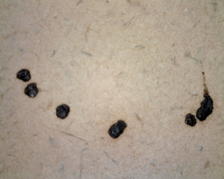 A close up of damage to the drawing. Black spots.