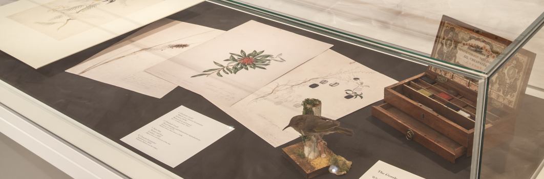 Drawings inside a glass cabinet