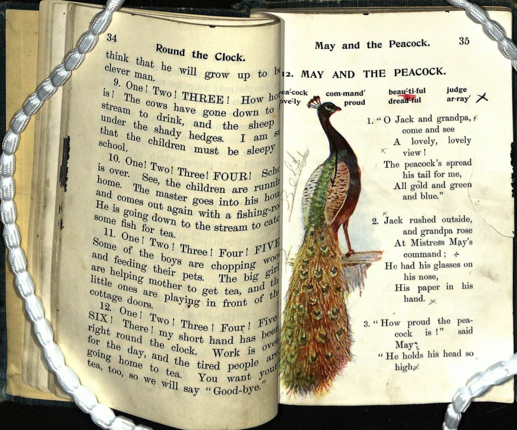 A page from a book, the left text reads: Round the clock “ 9. One! Two! Three! How hot it is! The cows have gone down to the stream to drink, and the sheep under the shady hedges. I am sure that the children must be sleepy at school. 10. One! Two! Three! Four! School is over. See, the children are running home. The master goes into his house and comes out again with a fishing-rod. He is going down to the stream to catch some fish for tea. 11. One! Two! Three! Fours! Five! Some of the boys are chopping wood and feeding their poets. The big girls are helping mother to get tea, and the little ones are playing in front of the cottage doors. 12. One! Two! Three! Fours! Five! Six! There! My short hand has been right around the clock. Work is over for the day, and the tired people are going home to tea. You want your tea, too, so we will say good bye.” The right text reads: “May and the peacock peacock lovely command proud beautiful dreadful judge array. 1. O Jack and grandpa come and see a lovely lovely view! The peacocks spread his tail for me all gold and green and blue. 2. Jack rushed outside and grandpa rose at mistress mays command; he had his glasses on his nose, his paper in his hand. 3. How proud the peacock is! Said may; He holds his head so high.”