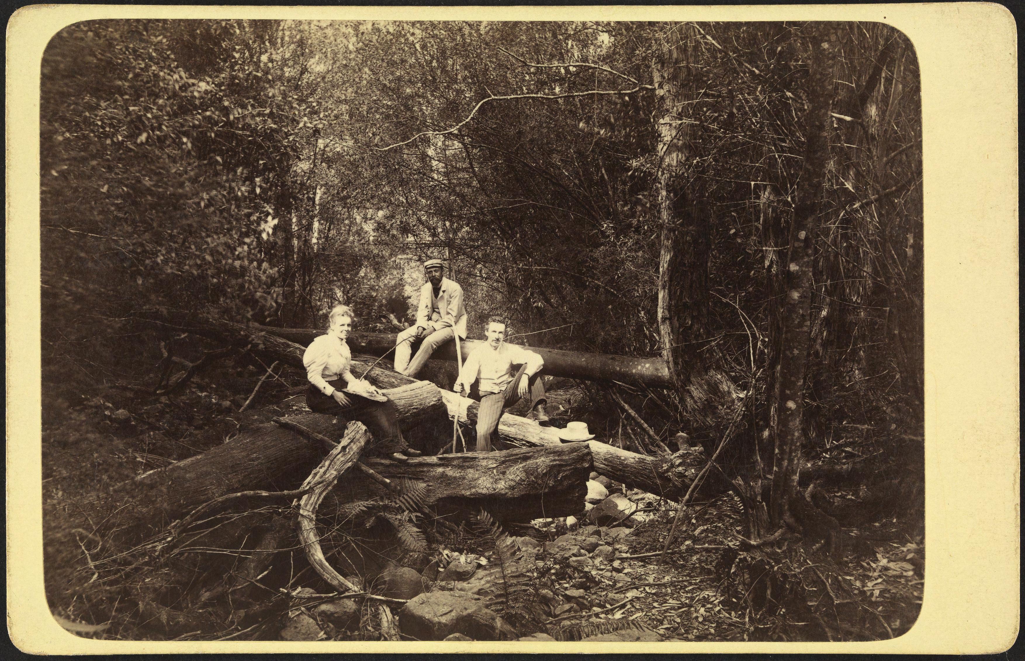 An old black and white photo of 3 walkers on a mountain track on mount wellington sitting on some logs atop a creek surrounded by trees