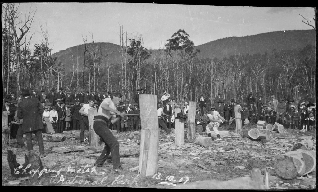 A group of people chopping wood with a crowd of onlookers.