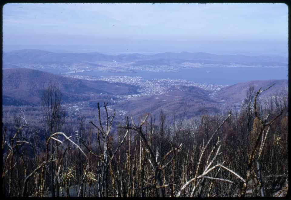 A picture showing the damage the fire casued, as seen from atop a mountain.