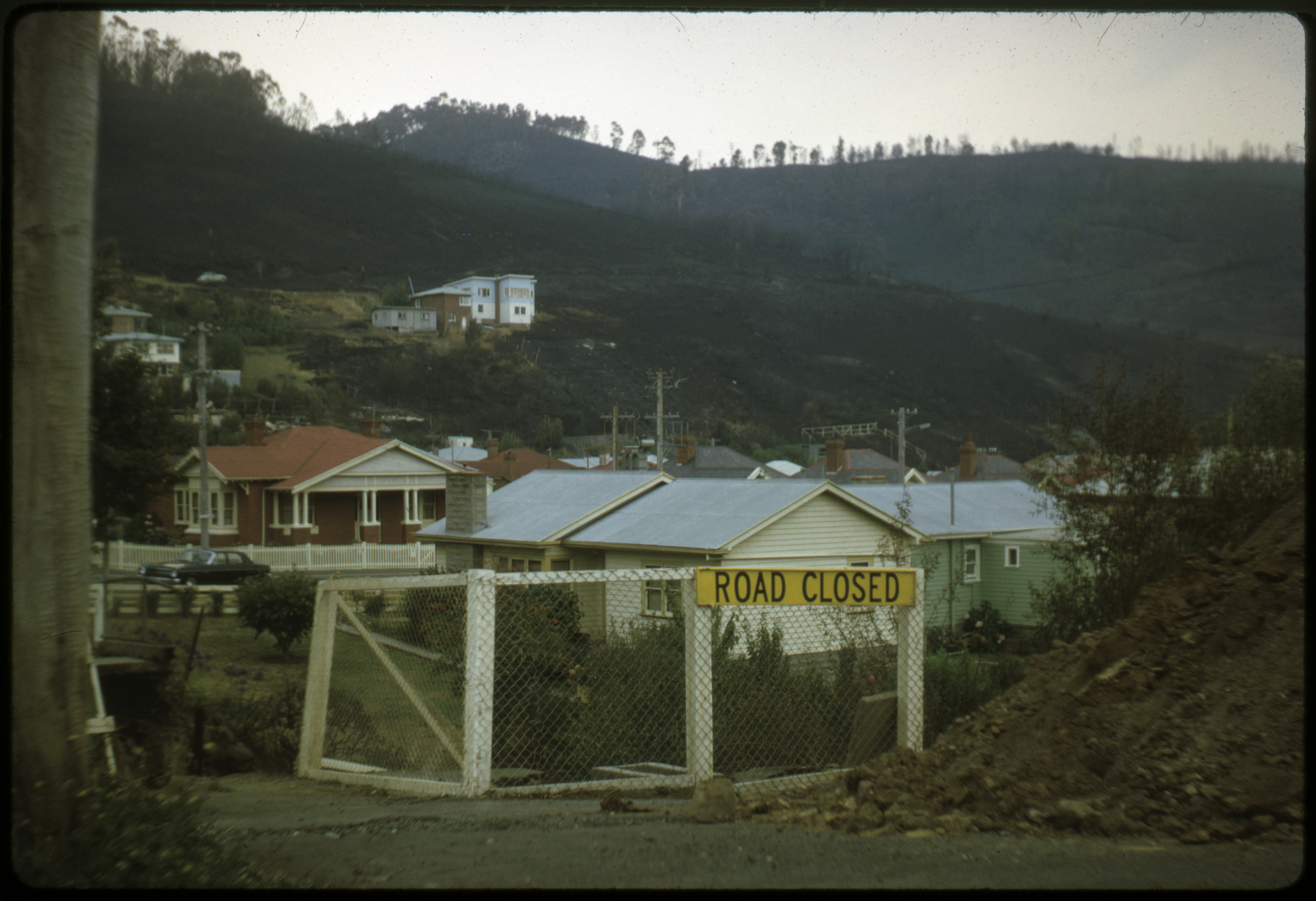 A photo of a "road closed" sign on a fence. houses in the background and burnt trees on hills in the distance.