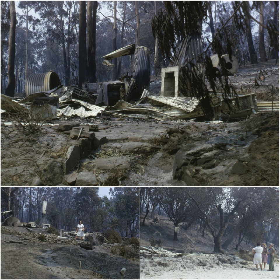 3 Images. Top: The ruins of a burnt down building surrounded by burnt trees. Left: A woman standing next to a burnt down building. Right: 3 people standing looking at burnt trees,