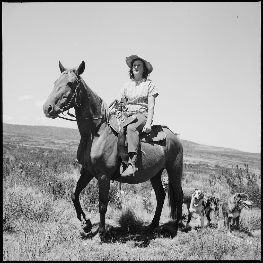a black and white photo of a woman on a horse. two dogs follow behind the horse