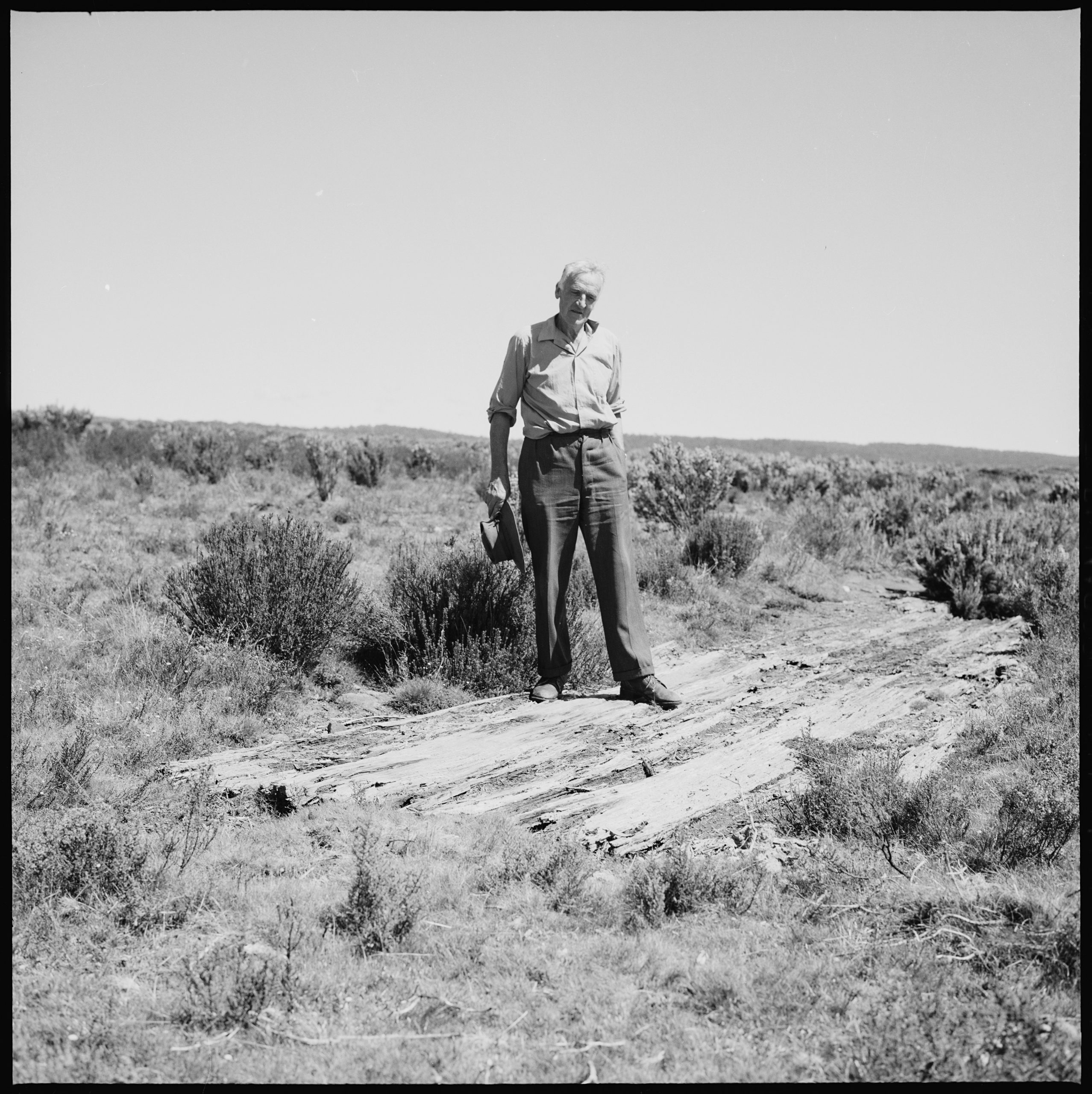 An old black and white photo of a man standing on a worn wooden cricket pitch