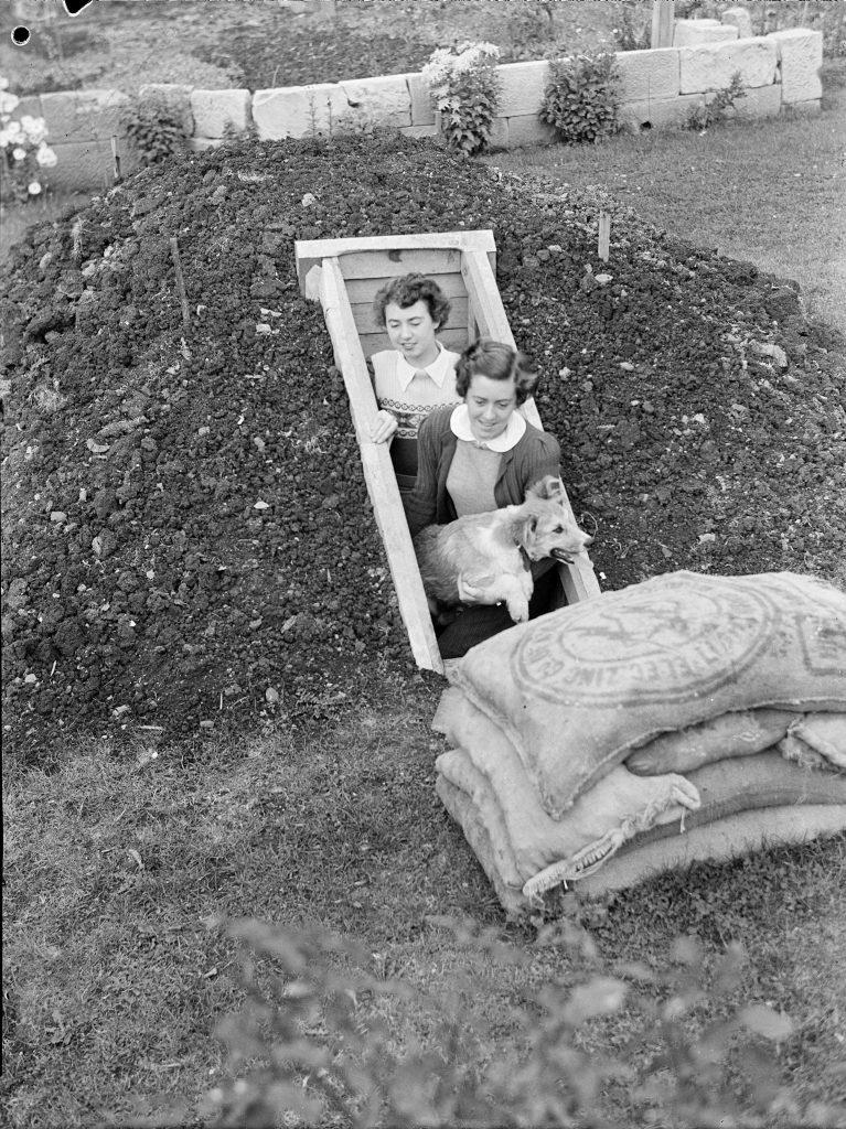 2 people and a dog exiting a wooden hole in a pile of soil.
