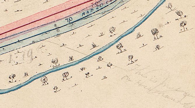 A close up of a map. there is a river and many hand drawn trees. 
