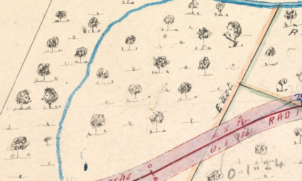 A close up of a map. there is a river and many hand drawn trees. Some trees have faces"