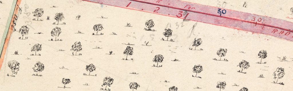 A close up of a map. There are many hand drawn trees. Some trees have faces"