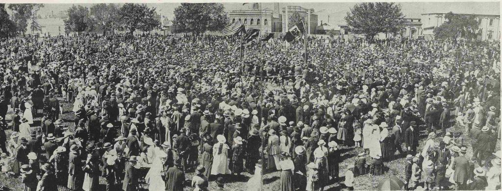 A large crowd of people gather in the park.  In the centre of the crowd flags are held aloft.  In the far background are city buildings.