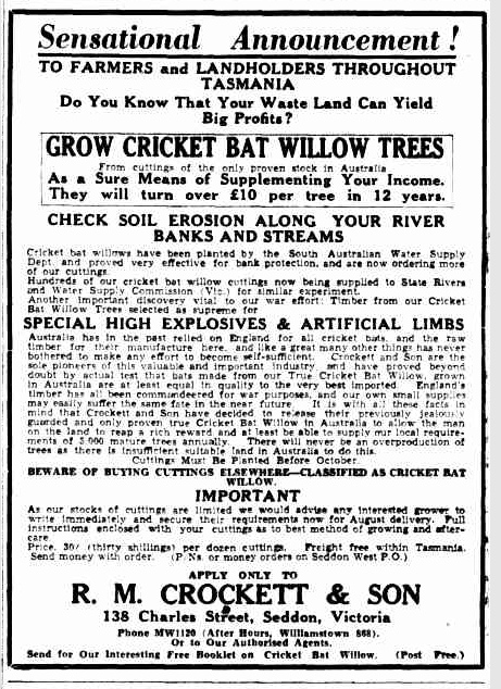 An advertisement for willow tree cuttings. the text reads "Sensational Announcement! TO FARMERS and LANDHOLDERS THROUGHOUT TASMANIA Do You Know That Your Waste Land Can Yield Big Profits? GROW CRICKET BAT WILLOW TREES From cuttings of the only proven stock In Australia As a Sure Means of Supplementing Your Income. They will turn over £10 per tree in 12 years. CHECK SOIL EROSION ALONG YOUR RIVER BANKS AND STREAMS Cricket bat willows have been planted by the South Australian Water Supply Dept and proved very effective for bank protection, and are now ordering more of our cuttings Hundreds of our cricket bat willow cuttings now being supplied to State Rivers and Water Supply Commission (Vic ) for similar experiment. Another important discovery vital to our war effort Timber from our Cricket Bat Willow Trees selected as supreme for SPECIAL HIGH EXPLOSIVES & ARTIFICIAL LIMBS Australia has in the past relied on England for all cricket bats and the raw timber for their manufacture here, and like a great many other things has never bothered to make any effort to become self-sufficient Crockett and Son are the sole pioneers of this valuable and important industry and have proved beyond doubt by actual test that bats made from our True Cricket Bat Willow, grown In Australia are at least equal in quality to the very best imported England's timber has all been commandeered for war purposes, and our own small supplies may easily suffer the same fate in the near future It is with all these facts In mind that Crockett and Son have decided to release their previously jealously guarded and only proven true Cricket Bat Willow In Australia to allow the man on the land to reap a rich reward and at least be able to supply our local requirements of 5 000 mature trees annually There will never be an overproduction of trees as there Is Insufficient suitable land in Australia to do this Cuttings Must Be Planted Before October BEWARE OF BUYING CUTTINGS ELSEWHERE-CLASSIFIED AS CRICKET BAT WILLOW IMPORTANT As our stocks of cuttings are limited we would advise any Interested grower to write Immediately and secure their requirements now for August delivery. Pull instructions enclosed with your cuttings as to best method of growing and after- care Price. 30/ (thirty shillings) per dozen cuttings Freight free within Tasmania. Send money with order (P/Ns or money orders on Seddon West P O ) APPLY ONLY TO R. M. CROCKETT & SON 138 Charles Street, Seddon, Victoria f Phone MW1I20 (After Hours, Williamstown 868), Or to Our Authorised Agents. Send for Our Interesting Free Booklet on Cricket Bat Willow. (Post Free)” "