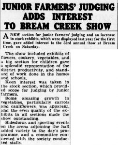 A newspaper snippet. It reads: “Junior farmers’ judging adds interest to bream creek show.
A new section for junior farmers judging and an increase in stock exhibits, which were displayed last year for the first time, gave added interest to the 53rd annual show at Bream Creek on Saturday.
The show included exhibits of flowers cookery vegetables and a big section for children gave a splendid representation of the district productivity, and standard of work done in the homes and schools. Keen interest was taken in the stock section, which provided scope for judging by junior farmers. Some amazing growth in vegetables, particularly carrots and cauliflowers, was apparent and the even quality of the exhibits in all sections made the show outstanding. Sideshows and sporting events on the arena adjoining the hall added variety to the day’s programme. And a committee connected with the society conducted stalls”