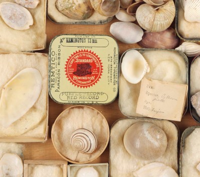 A picture of shells stored in repurposed Remington typewriter ribbon boxes.